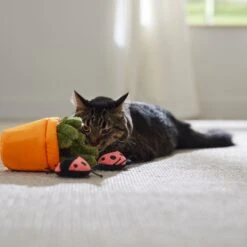 Frisco Spring Potted Plant And Ladybugs Interactive Plush Cat Toy With Catnip -Furry Friends 541542 PT3. AC SS1800 V1671814448