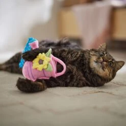 Frisco Spring Watering Can Plush Cat Toy With Catnip -Furry Friends 541558 PT3. AC SS1800 V1671814448