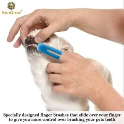 SunGrow Dog & Cat Stick & Finger Toothbrush Kit, Dental Care For Your Pets, Suitable For Ferrets, 3 Count -Furry Friends 541622 PT2. AC SS1800 V1671025883