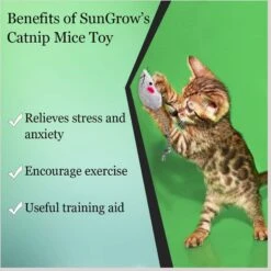 SunGrow Teething Chews Cat & Ferret Chase & Kicker Mouse Plush Toy, 5 Count 11 SunGrow Teething Chews Cat & Ferret Chase & Kicker Mouse Plush Toy, 5 Count -Furry Friends 541654 PT3. AC SS1800 V1675970900
