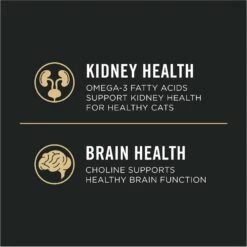 Purina Pro Plan Vital Systems 4-in-1 Salmon Pate Wet Cat Food, 3-oz Can, Case Of 24 -Furry Friends 542038 PT5. AC SS1800 V1652975784