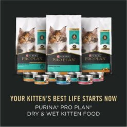 Purina Pro Plan Complete & Balanced Kitten Starter Pack Cat Food, 2.12-lb Box -Furry Friends 542054 PT7. AC SS1800 V1652975488