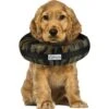 Comfurt Collar Dog & Cat Recovery Collar