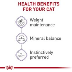 Royal Canin Feline Health Nutrition Spayed/Neutered Thin Slices In Gravy Canned Cat Food -Furry Friends 54338 PT3. AC SS1800 V1697757373