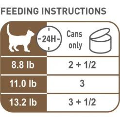 Royal Canin Aging 12+ Thin Slices In Gravy Canned Cat Food -Furry Friends 54340 PT2. AC SS1800 V1698094654