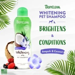 TropiClean Whitening Awapuhi & Coconut Shampoo 11 TropiClean Whitening Awapuhi & Coconut Shampoo -Furry Friends 55611 PT2. AC SS1800 V1684411076