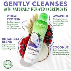 TropiClean Whitening Awapuhi & Coconut Shampoo 12 TropiClean Whitening Awapuhi & Coconut Shampoo -Furry Friends 55611 PT3. AC SS1800 V1684405262