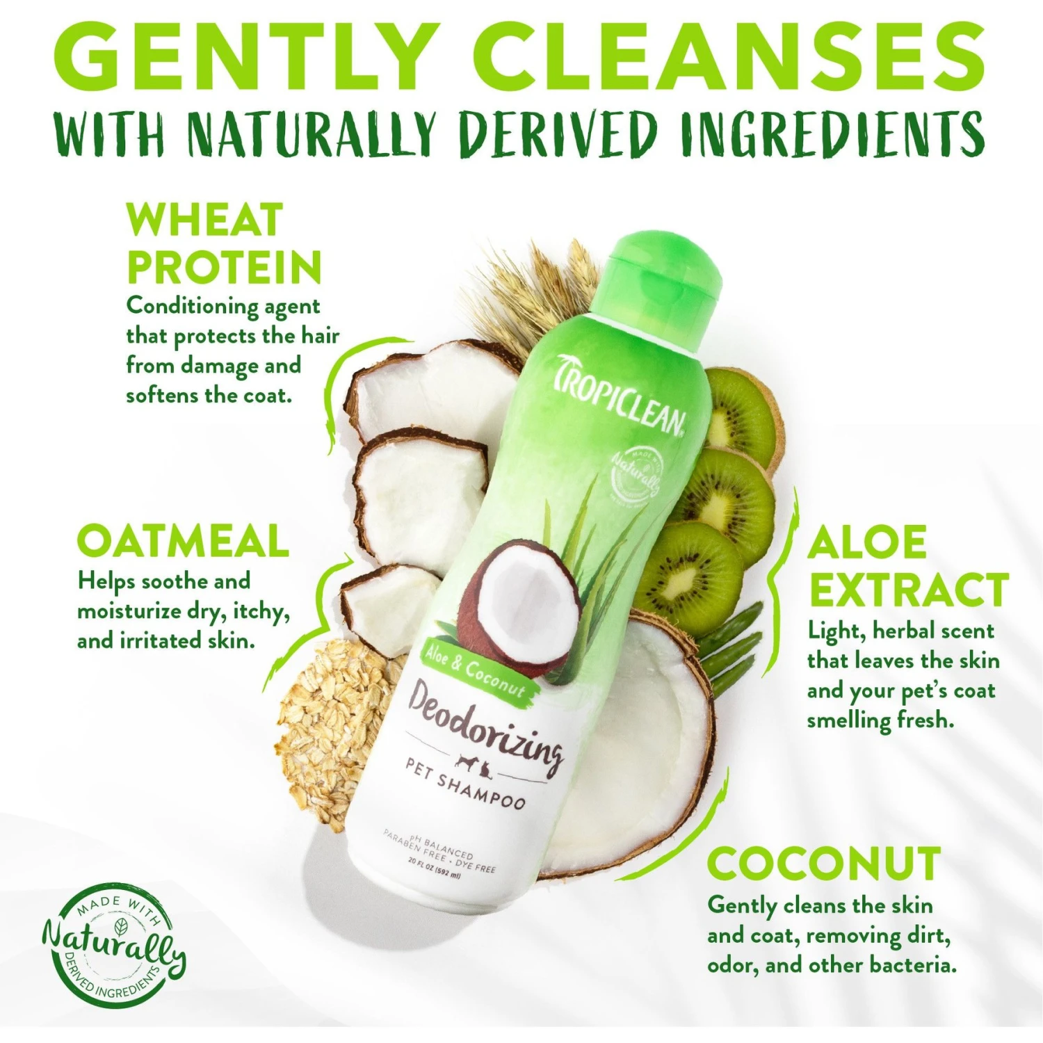 TropiClean Deodorizing Aloe & Coconut Dog & Cat Shampoo 5 TropiClean Deodorizing Aloe & Coconut Dog & Cat Shampoo - Image 3