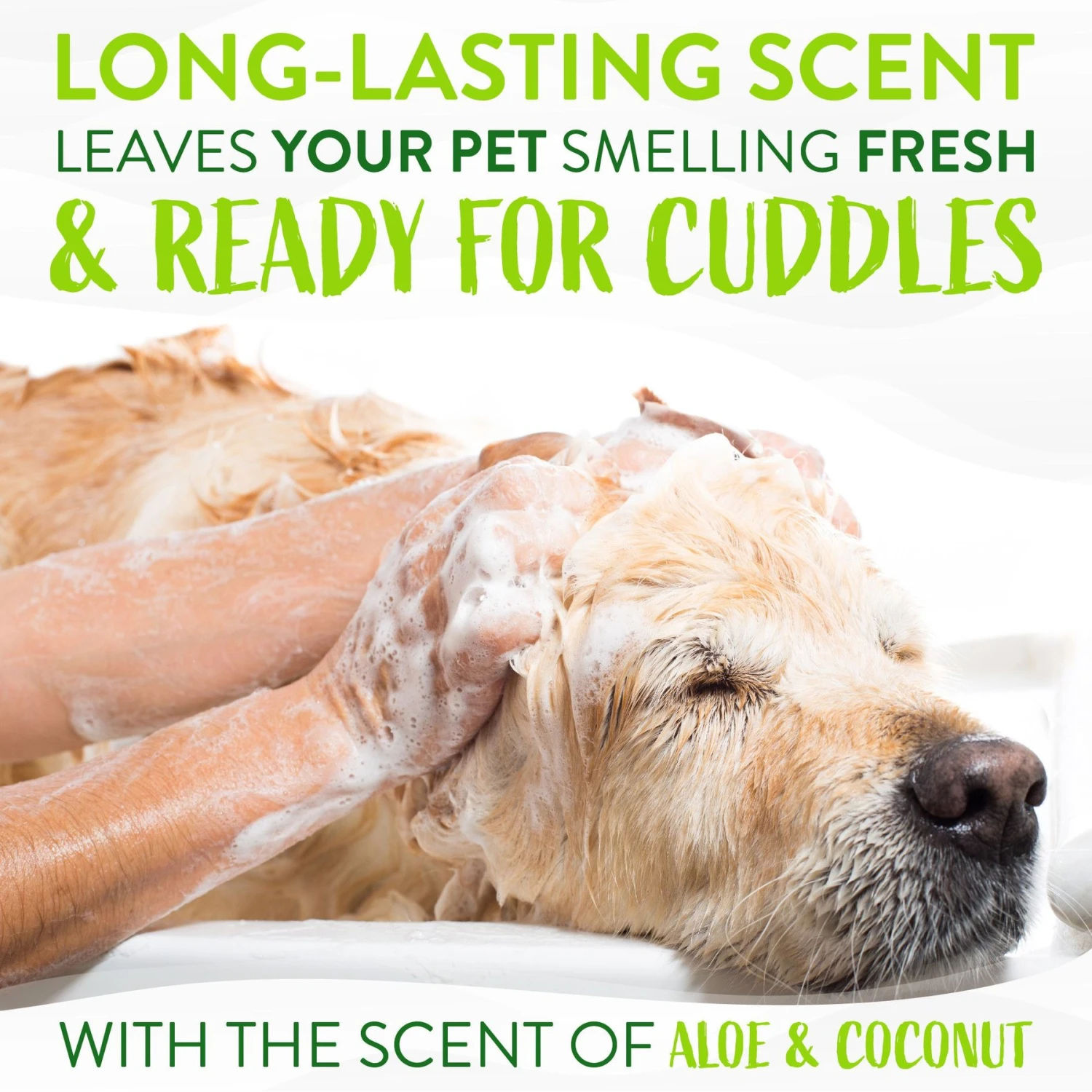 TropiClean Deodorizing Aloe & Coconut Dog & Cat Shampoo 7 TropiClean Deodorizing Aloe & Coconut Dog & Cat Shampoo - Image 5
