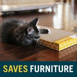 OurPets Far & Wide Cat Scratcher -Furry Friends 55660 PT7. AC SS1800 V1639093019