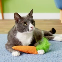 OurPets Catnip 24 Karat Cat Toy -Furry Friends 55678 PT8. AC SS1800 V1503351353