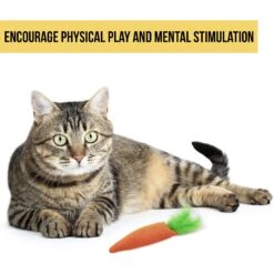 OurPets Catnip 24 Karat Cat Toy -Furry Friends 55678 Pt2. AC SS1800 V1583765035