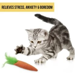 OurPets Catnip 24 Karat Cat Toy -Furry Friends 55678 Pt6. AC SS1800 V1583765041