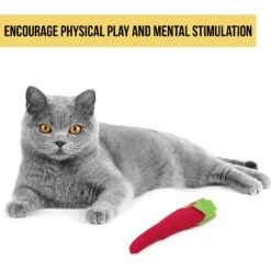 OurPets Hot Stuff Cat Toy -Furry Friends 55685 Pt2. AC SS1800 V1583765006