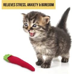 OurPets Hot Stuff Cat Toy -Furry Friends 55685 Pt6. AC SS1800 V1583765048