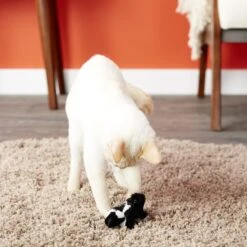 OurPets Backyard Squeaking Skunk Cat Toy -Furry Friends 55726 PT5. AC SS1800 V1527256207