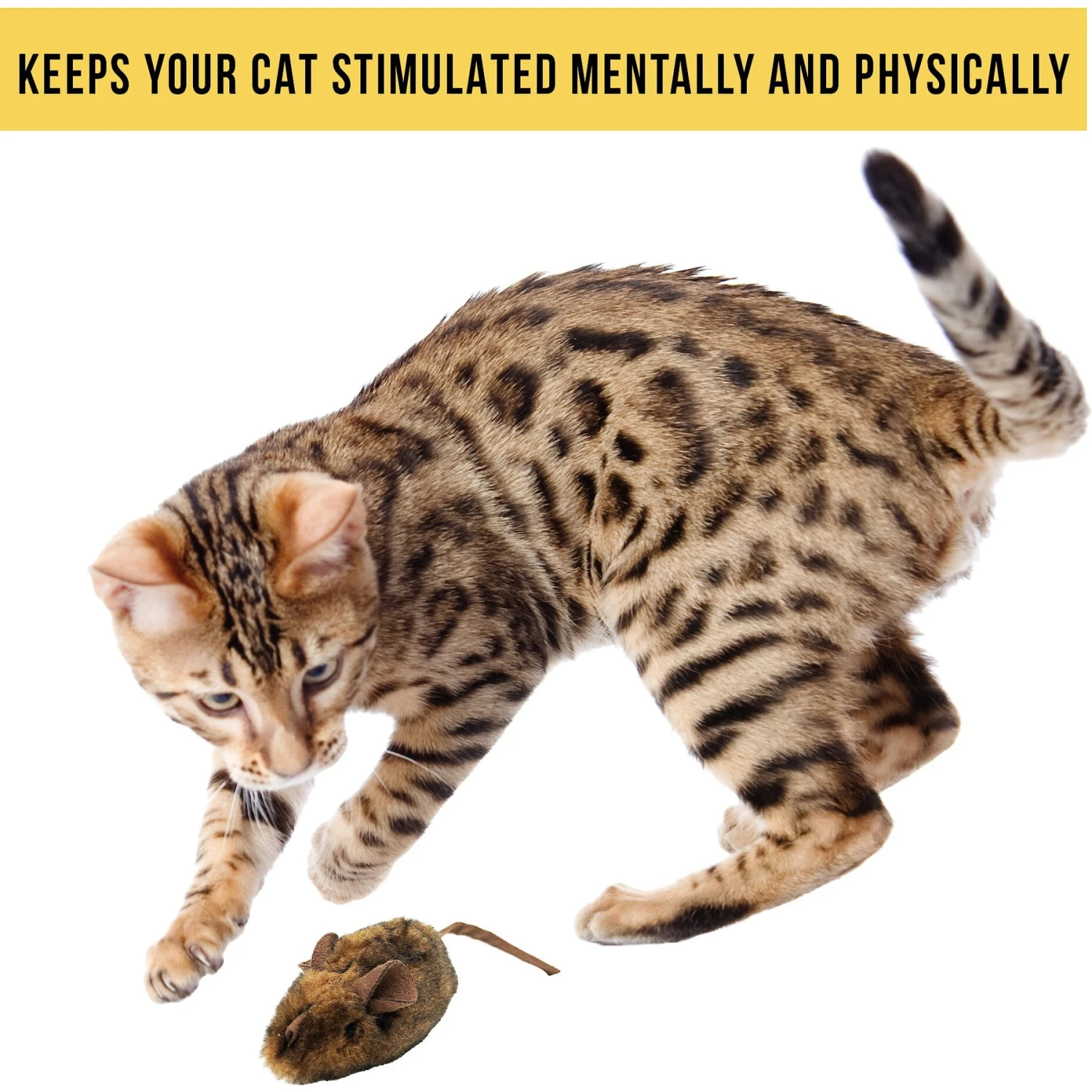 Pet Zone Play-N-Squeak MouseHunter Cat Toy With Catnip 8 Pet Zone Play-N-Squeak MouseHunter Cat Toy With Catnip - Image 6