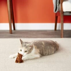 OurPets Backyard Squeaking Bunny Cat Toy -Furry Friends 55742 PT5. AC SS1800 V1527256080