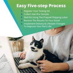 5Strands Health Test For Dog, Cat & Small Pet -Furry Friends 565542 PT3. AC SS1800 V1691007688