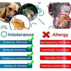 5Strands Food & Environmental Intolerance Test For Dog, Cat & Small Pet -Furry Friends 565558 PT7. AC SS1800 V1657659860