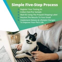 5Strands Food Intolerance Test For Dog, Cat & Small Pet -Furry Friends 565574 PT3. AC SS1800 V1691007693