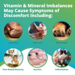 5Strands Nutrition Imbalance Test For Dog, Cat & Small Pet 11 5Strands Nutrition Imbalance Test For Dog, Cat & Small Pet -Furry Friends 565606 PT2. AC SS1800 V1691007626