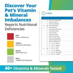 5Strands Nutrition Imbalance Test For Dog, Cat & Small Pet 13 5Strands Nutrition Imbalance Test For Dog, Cat & Small Pet -Furry Friends 565606 PT4. AC SS1800 V1691007634