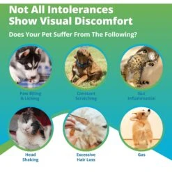 5Strands Raw Food Intolerance Test For Dog, Cat & Small Pet -Furry Friends 565638 PT2. AC SS1800 V1691007620