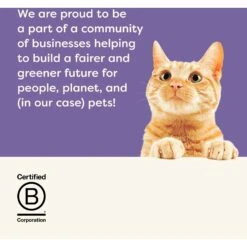 Applaws Fish Selection In Broth Variety Pack Wet Cat Food -Furry Friends 566486 PT6. AC SS1800 V1657659867