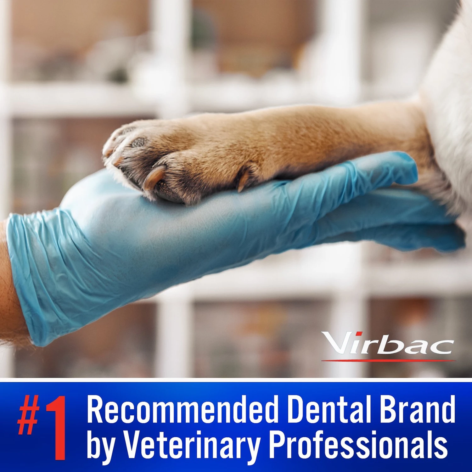 Virbac C.E.T. Enzymatic Malt Flavor Dog & Cat Toothpaste 6 Virbac C.E.T. Enzymatic Malt Flavor Dog & Cat Toothpaste - Image 4