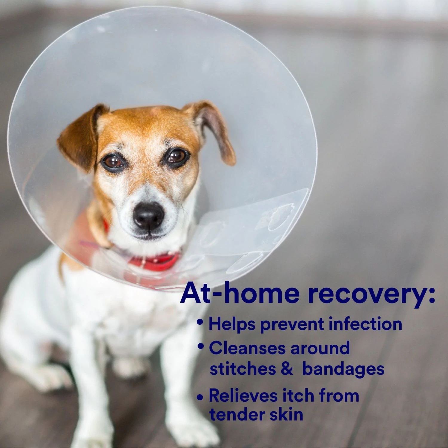 SkinSmart Antimicrobial Skin & Wound Care Cat & Dog Spray, 8-oz Bottle 4 SkinSmart Antimicrobial Skin & Wound Care Cat & Dog Spray, 8-oz Bottle - Image 2