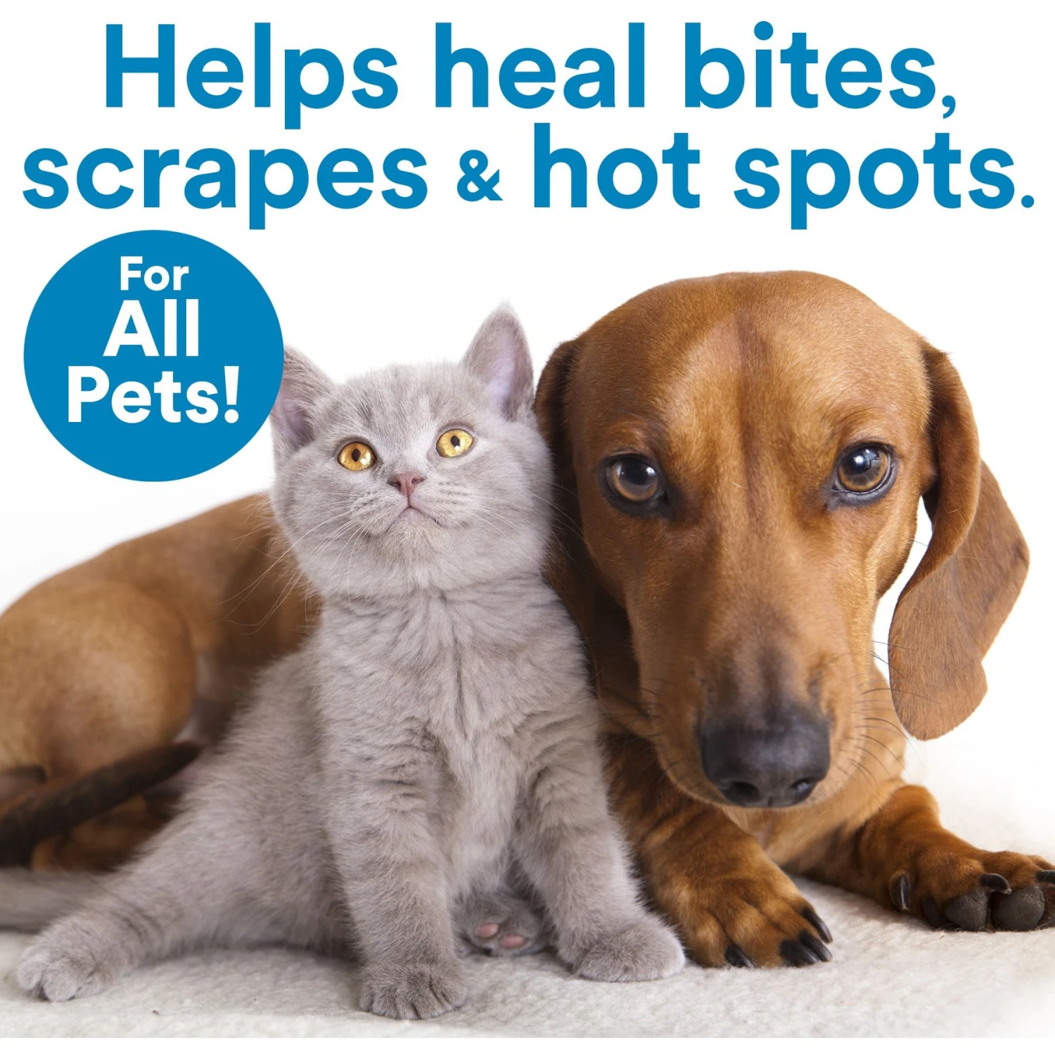 SkinSmart Antimicrobial Skin & Wound Care Cat & Dog Spray, 8-oz Bottle 5 SkinSmart Antimicrobial Skin & Wound Care Cat & Dog Spray, 8-oz Bottle - Image 3