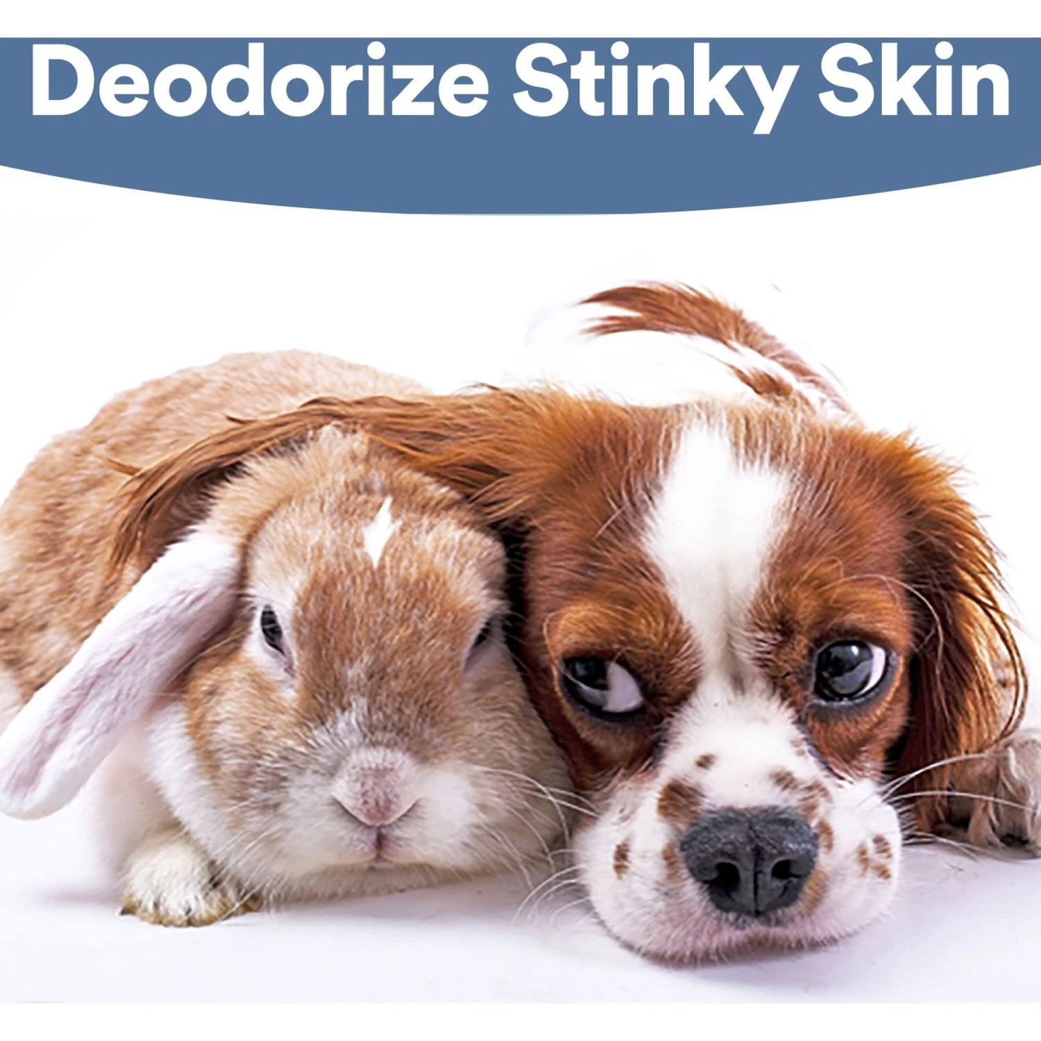 SkinSmart Antimicrobial Skin & Wound Care Cat & Dog Spray, 8-oz Bottle 6 SkinSmart Antimicrobial Skin & Wound Care Cat & Dog Spray, 8-oz Bottle - Image 4