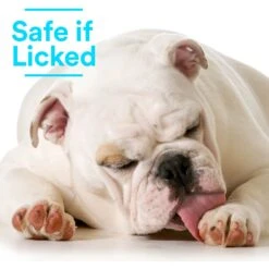 SkinSmart Antimicrobial Skin & Wound Care Cat & Dog Spray, 8-oz Bottle 11 SkinSmart Antimicrobial Skin & Wound Care Cat & Dog Spray, 8-oz Bottle -Furry Friends 567782 PT4. AC SS1800 V1658227833