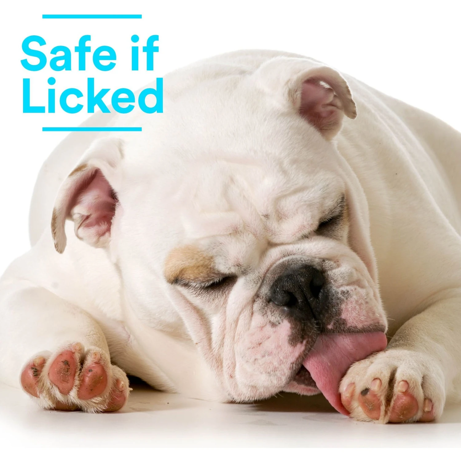 SkinSmart Antimicrobial Skin & Wound Care Cat & Dog Spray, 8-oz Bottle 7 SkinSmart Antimicrobial Skin & Wound Care Cat & Dog Spray, 8-oz Bottle - Image 5