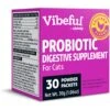 Vibeful Probiotic Gastrointestinal Support Powder Digestive Supplement For Cats -Furry Friends 574246 MAIN. AC SS1800 V1669761027