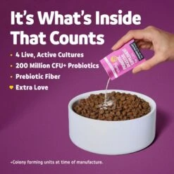 Vibeful Probiotic Gastrointestinal Support Powder Digestive Supplement For Cats -Furry Friends 574246 PT4. AC SS1800 V1669761026