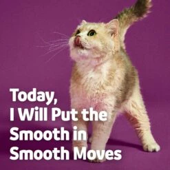 Vibeful Probiotic Gastrointestinal Support Powder Digestive Supplement For Cats -Furry Friends 574246 PT6. AC SS1800 V1669760969