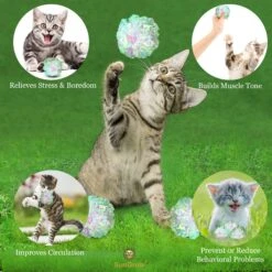 SunGrow Entertainment Clear Mylar Indoor Cat & Ferret Crinkle Balls & Chase Toy, 2-in, 12 Count -Furry Friends 575422 PT3. AC SS1800 V1675971614