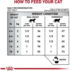 Royal Canin Veterinary Diet Adult Dental Dry Cat Food 15 Royal Canin Veterinary Diet Adult Dental Dry Cat Food -Furry Friends 57600 PT4. AC SS1800 V1644974782