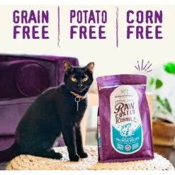 Stella & Chewy's Duck Flavored Raw Coated Cage Free Dry Cat Food -Furry Friends 576150 PT5. AC SS1800 V1678908253