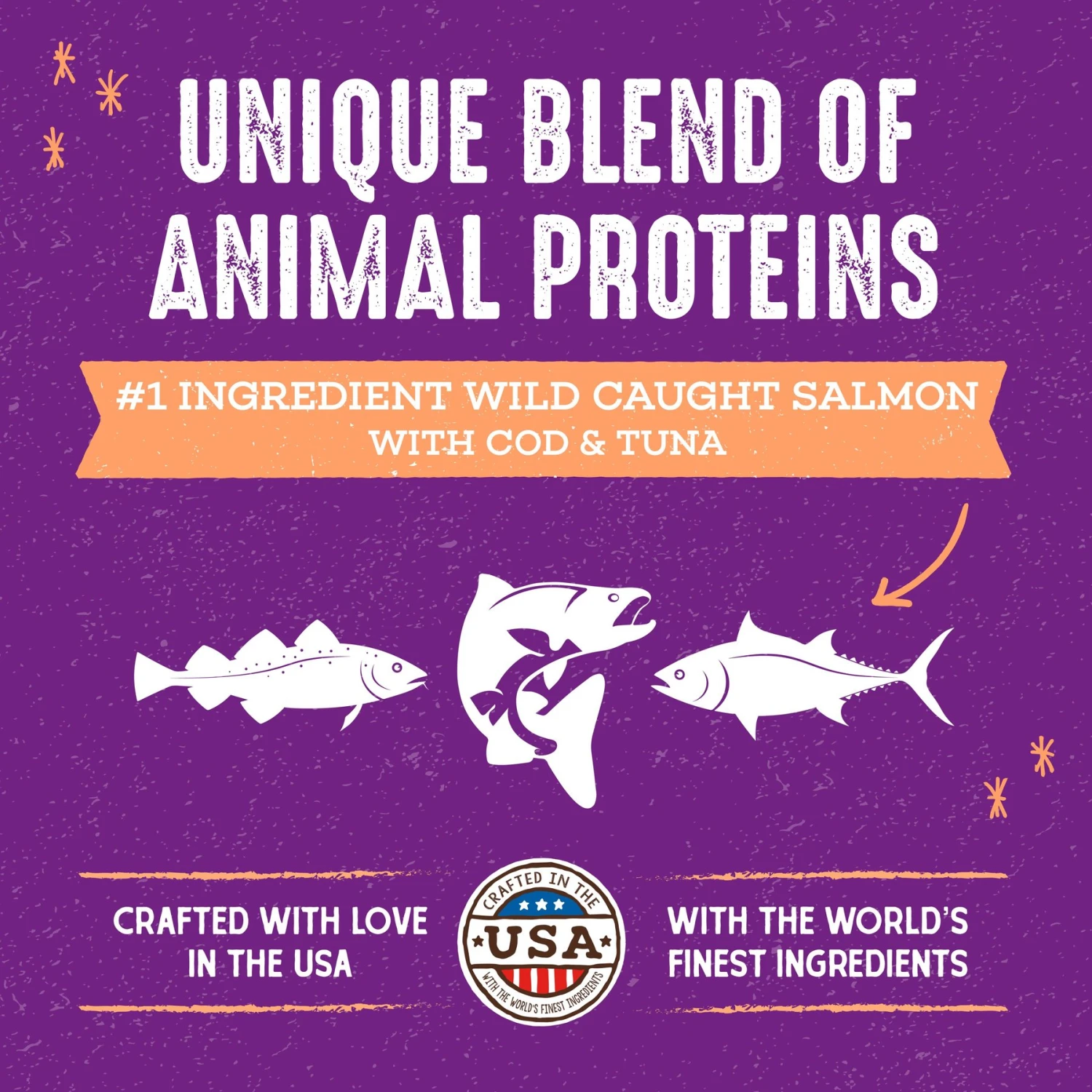 Stella & Chewy's Raw Blend Wild Caught Recipe Dry Cat Food 4 Stella & Chewy's Raw Blend Wild Caught Recipe Dry Cat Food - Image 2