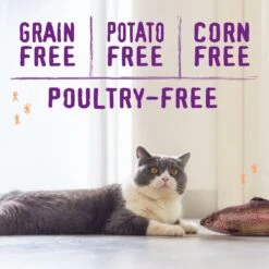 Stella & Chewy's Raw Blend Wild Caught Recipe Dry Cat Food 9 Stella & Chewy's Raw Blend Wild Caught Recipe Dry Cat Food -Furry Friends 576174 PT3. AC SS1800 V1657660401