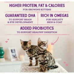 Stella & Chewy's Chicken Flavored Raw Coated Cage-Free Kitten Dry Cat Food -Furry Friends 576198 PT5. AC SS1800 V1657660463