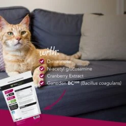 VetriScience UT Strength Feline Chicken Liver Flavored Soft Chews Urinary Supplement For Cats -Furry Friends 57626 PT3. AC SS1800 V1658942906