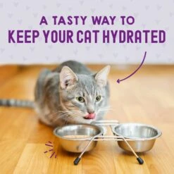 Stella & Chewy's Carnivore Cravings Salmon, Tuna & Mackerel Flavored Shredded Wet Cat Food -Furry Friends 576294 PT7. AC SS1800 V1657660465