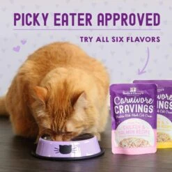 Stella & Chewy's Carnivore Cravings Salmon, Tuna & Mackerel Flavored Shredded Wet Cat Food -Furry Friends 576294 PT8. AC SS1800 V1657660465