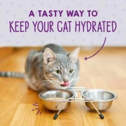 Stella & Chewy's Purrfect Pate Duck & Chicken Flavored Pate Wet Cat Food -Furry Friends 576382 PT7. AC SS1800 V1657660466