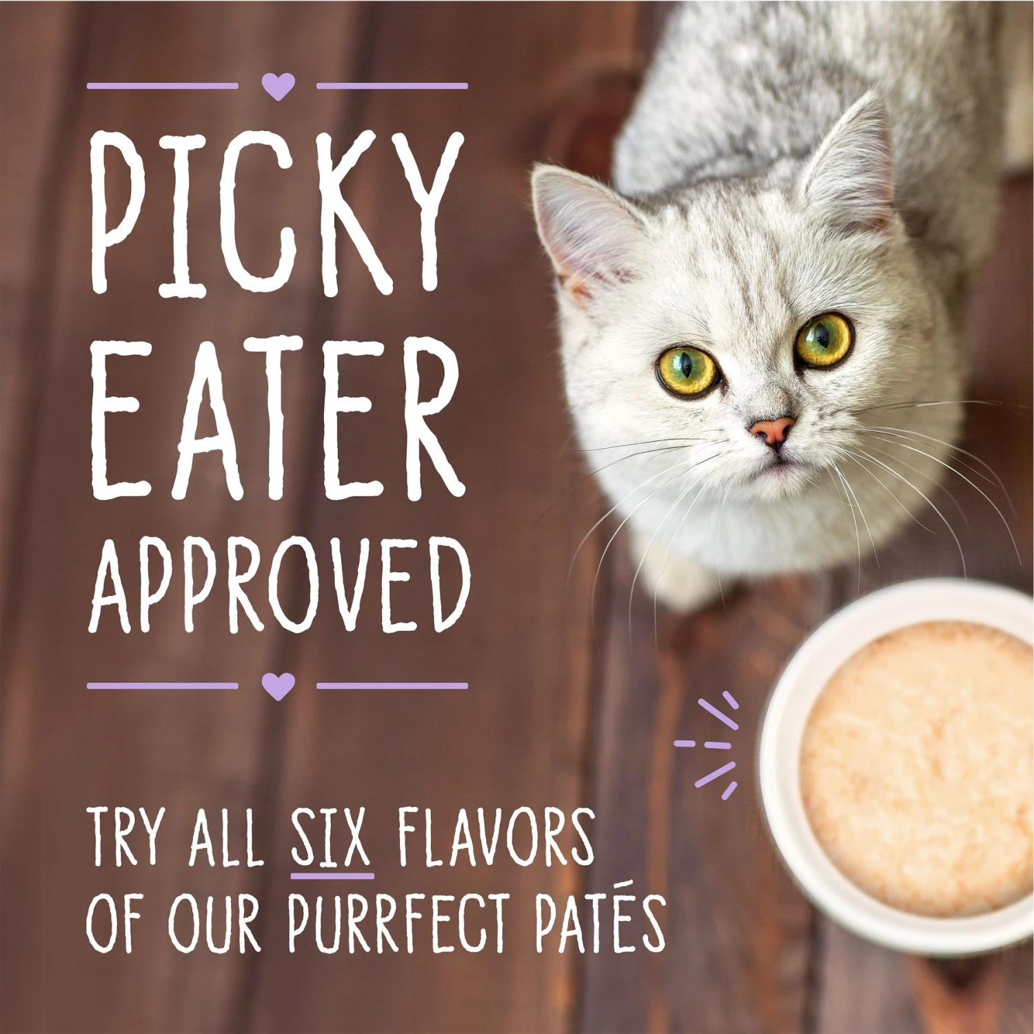 Stella & Chewy's Purrfect Pate Tuna & Pumpkin Flavored Pate Wet Cat Food 10 Stella & Chewy's Purrfect Pate Tuna & Pumpkin Flavored Pate Wet Cat Food - Image 8