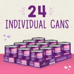 Stella & Chewy's Savory Shreds Chicken & Salmon Flavored Shredded Wet Cat Food 15 Stella & Chewy's Savory Shreds Chicken & Salmon Flavored Shredded Wet Cat Food -Furry Friends 576510 PT6. AC SS1800 V1657660470